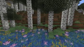 RXB-Kit screenshot