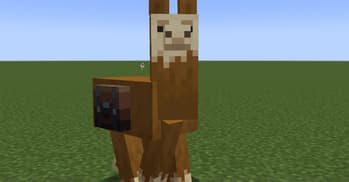 Saddle Bags screenshot
