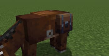 Saddle Bags screenshot