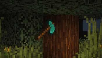 Better Item In Frame screenshot