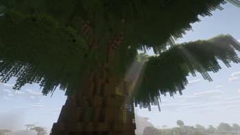 Giant Tree screenshot