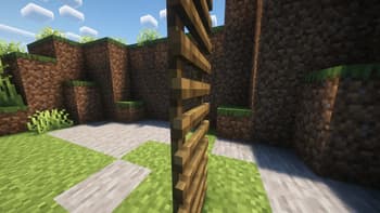 Undopia 3D Ladder screenshot