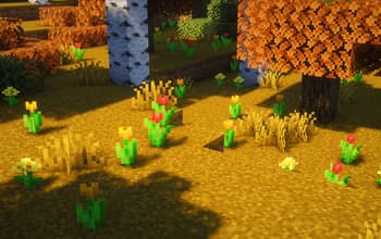 Autumn Forest screenshot