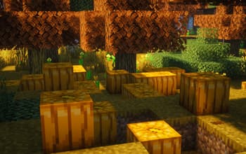Autumn Forest screenshot