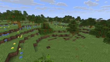 More Than Apples screenshot