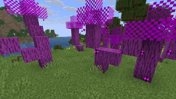 More Than Apples screenshot