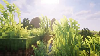 TameableMinisheep screenshot