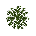 rainbow's foliage: vanilla screenshot