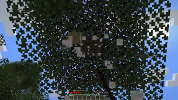 Swift Leaf Decay screenshot