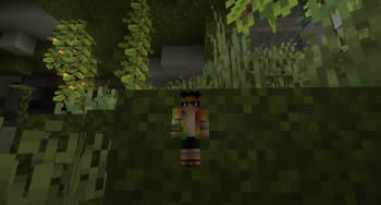 GulliverLite screenshot