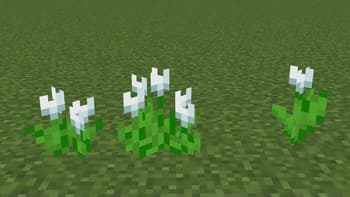 Better Foliage screenshot
