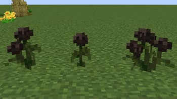 Better Foliage screenshot