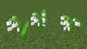 Better Foliage screenshot
