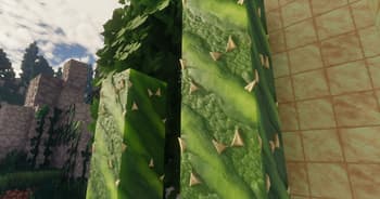 Coven screenshot