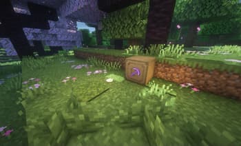 Invisible Item Frames screenshot