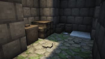 TFC Ruins screenshot