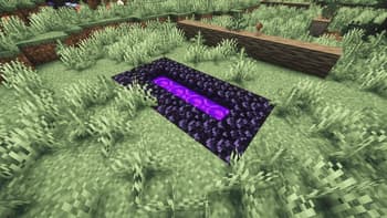 Custom Nether Portal screenshot