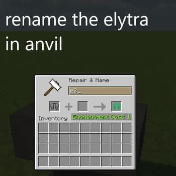 Glowing Trim Elytra screenshot