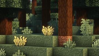 Rad's Lush Foliage screenshot
