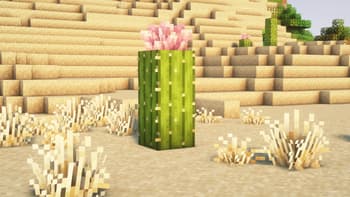 Rad's Lush Foliage screenshot