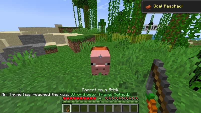 Mr. Thyme's Advanced Advancements screenshot