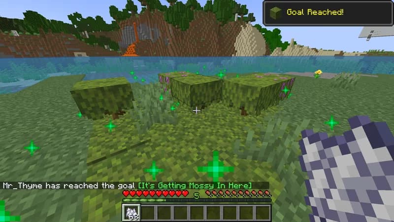 Mr. Thyme's Advanced Advancements screenshot