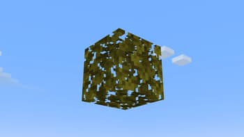 Vanilla texture fix screenshot