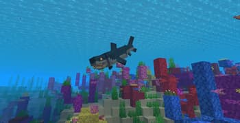 Aquatic Fauna Expansion screenshot