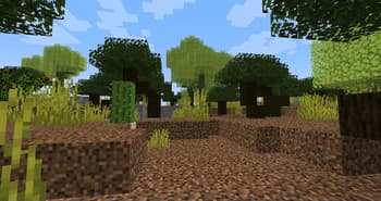 Paradise Mod screenshot