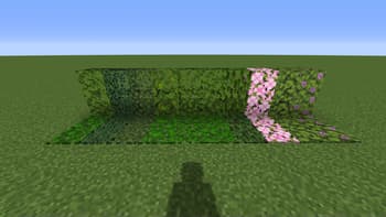Mel's Vanilla+ screenshot