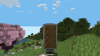 BackSlots screenshot