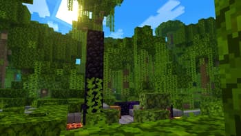 Lively Craft screenshot