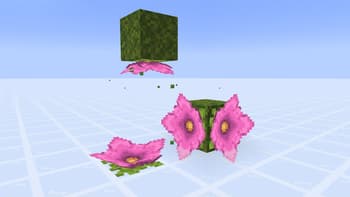Florum Sporum screenshot