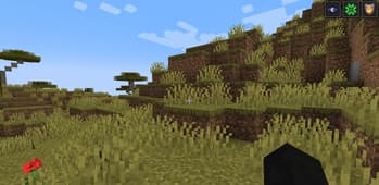 Clean View mod screenshot