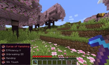 Enchantment Tooltips screenshot