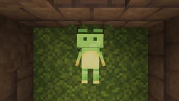 Froggy screenshot