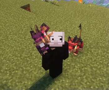 Toon's Partner Pokemon [Cobblemon] screenshot