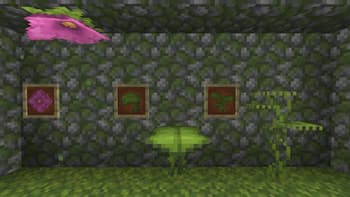 Fancy Plants screenshot