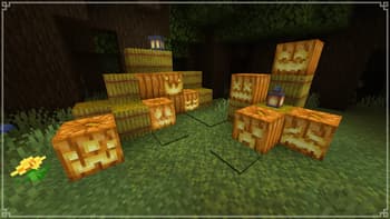 Chris's Additions screenshot