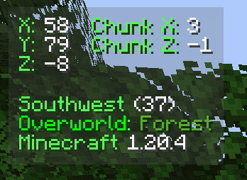 Coordinates Display screenshot