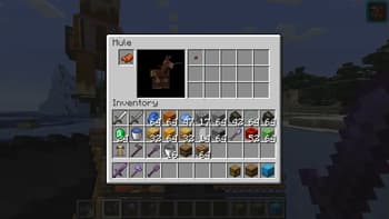 Ennui's Bigger Inventories screenshot