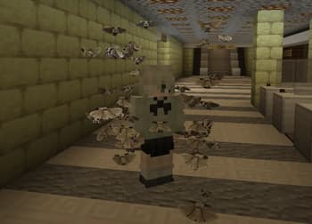 Ripples of the Past: Recording screenshot