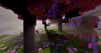 PathMax screenshot