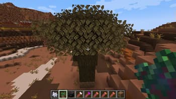 Sweet Potato Reborn screenshot