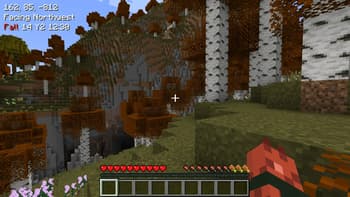 PicoHUD screenshot