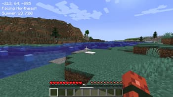 PicoHUD screenshot