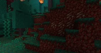 XR's Tiny Edits screenshot