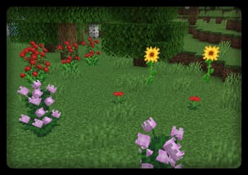 Florescent screenshot