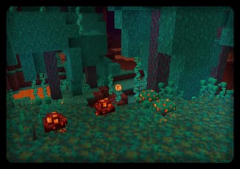 Florescent screenshot