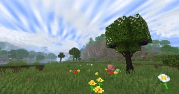 VietNam Delight screenshot